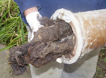 root-intrusion